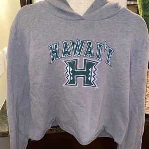 University of Hawaii cropped hoodie